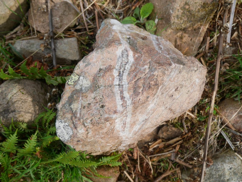 Breccia Veins