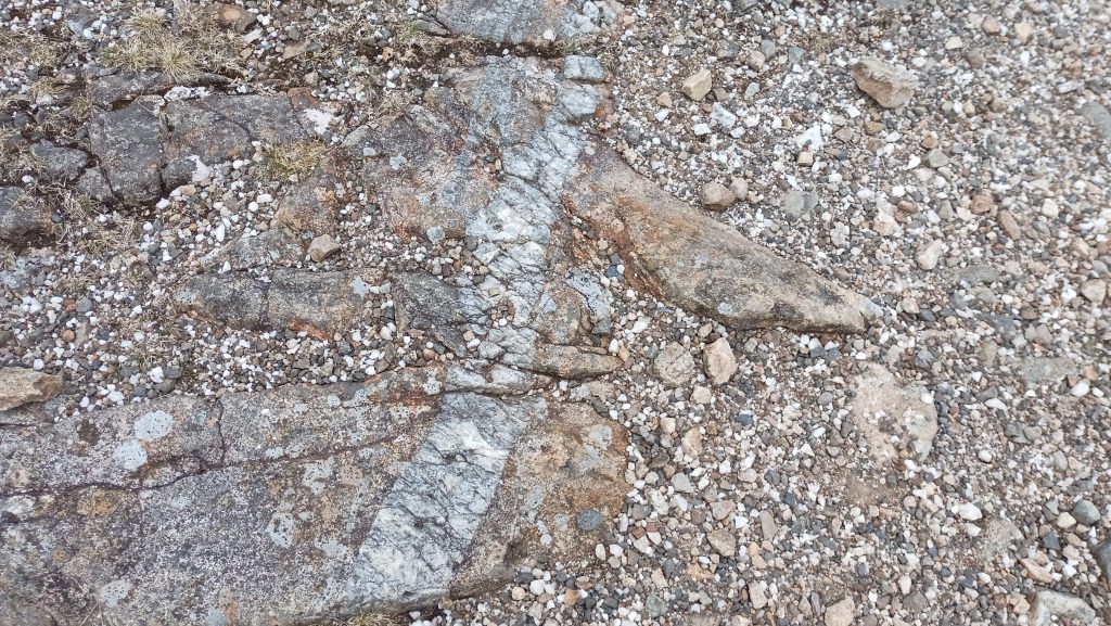 Breccia Vein crossing Gabbro intrusion