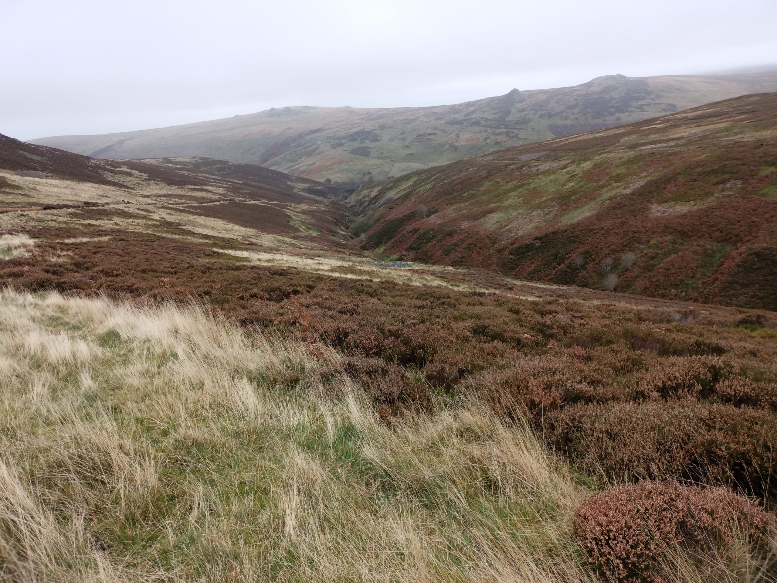 Uncovering the Secrets of the Cheviot Hills – Radioactivity at Hawsen Burn, Harthope Valley