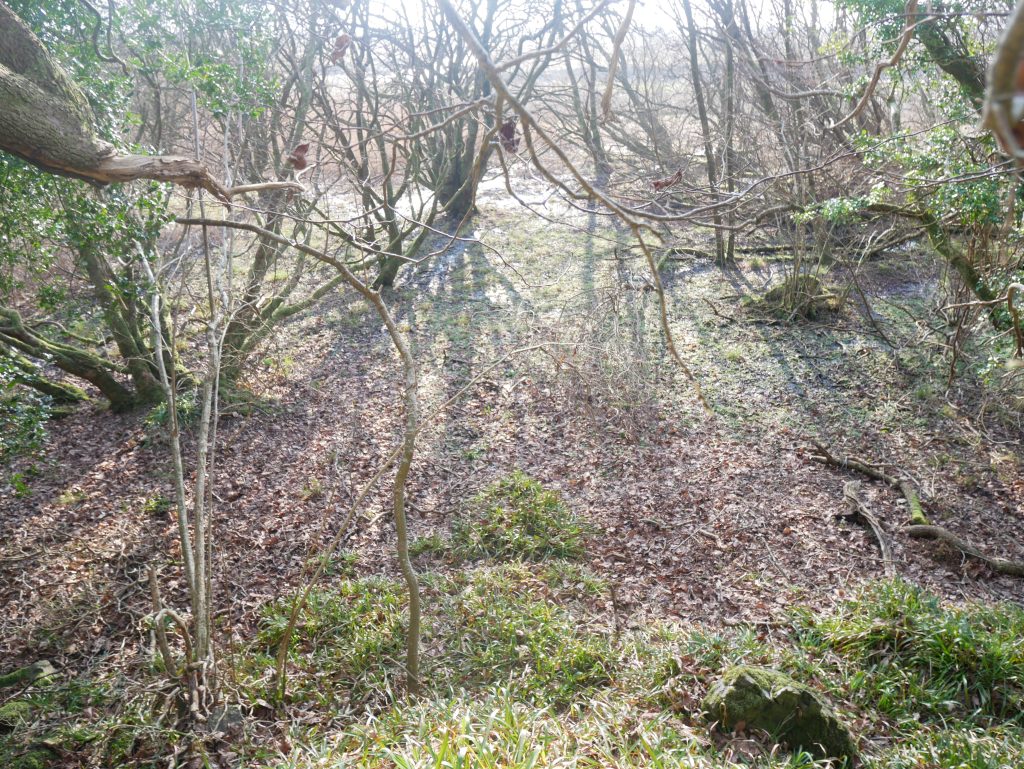 Where uranium is eaten