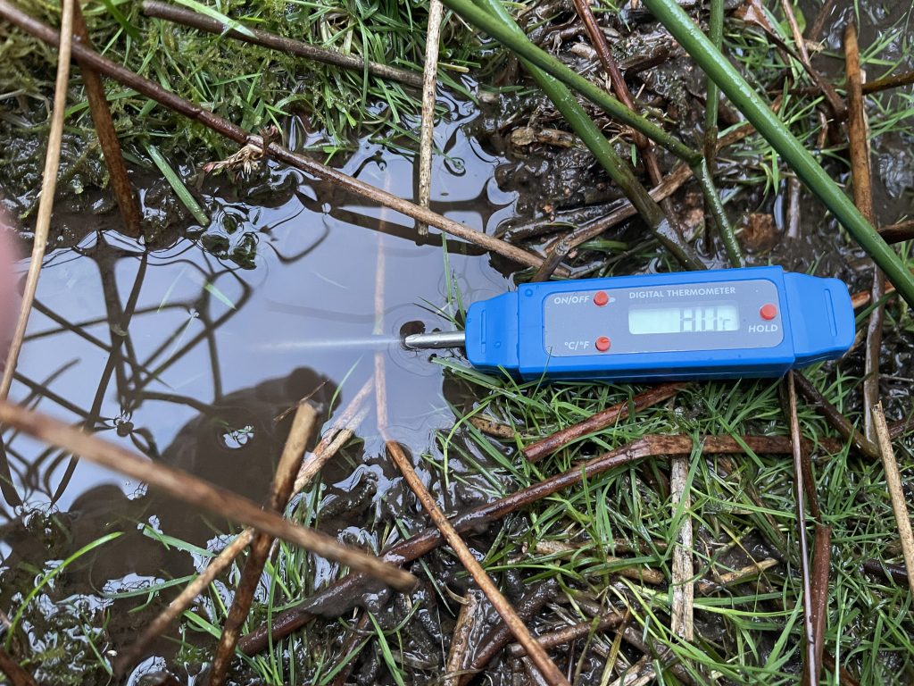 Spring water temperature analysis