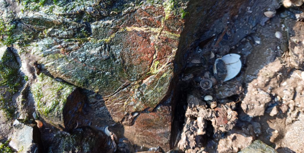185 million year old uranium mineralisation at Steps Vein, Sandyhills