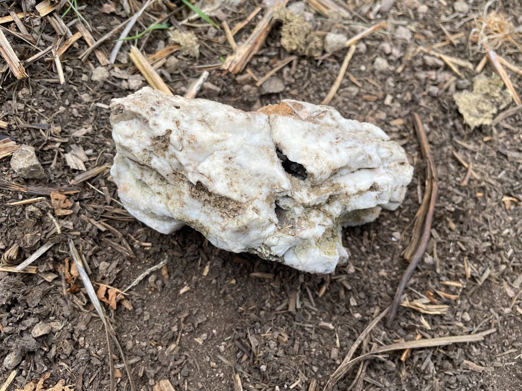 NT 869 Mineralisation 2