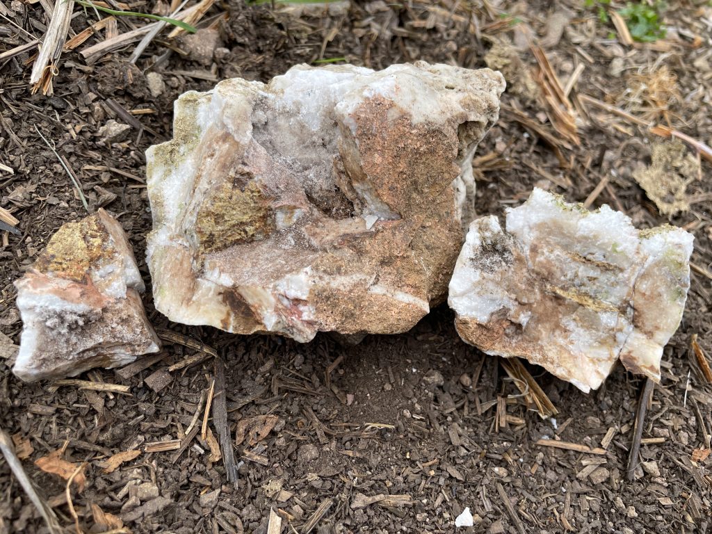 NT 869 Mineralisation 3