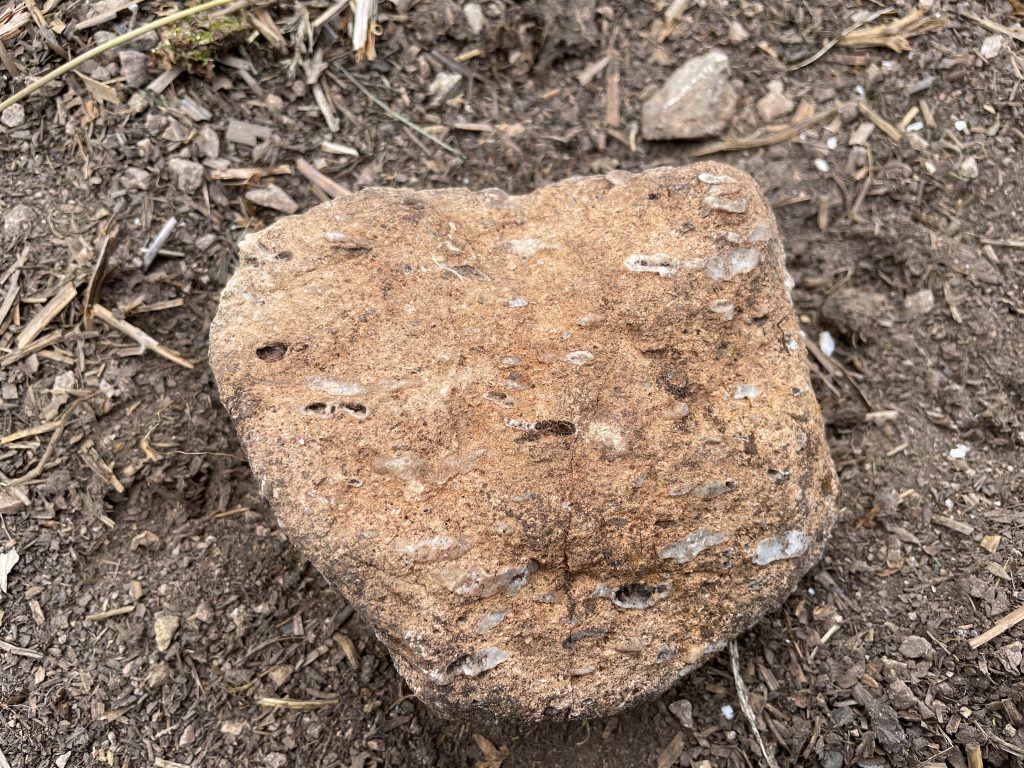 NT 869 Mineralisation 4