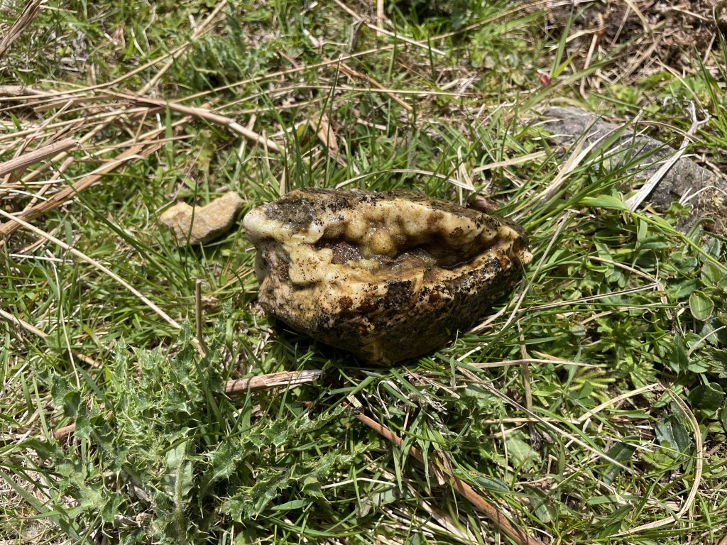 Botryoidal Quartz 1