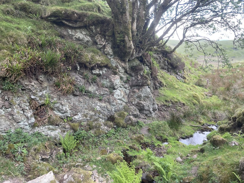 Randy's Gap