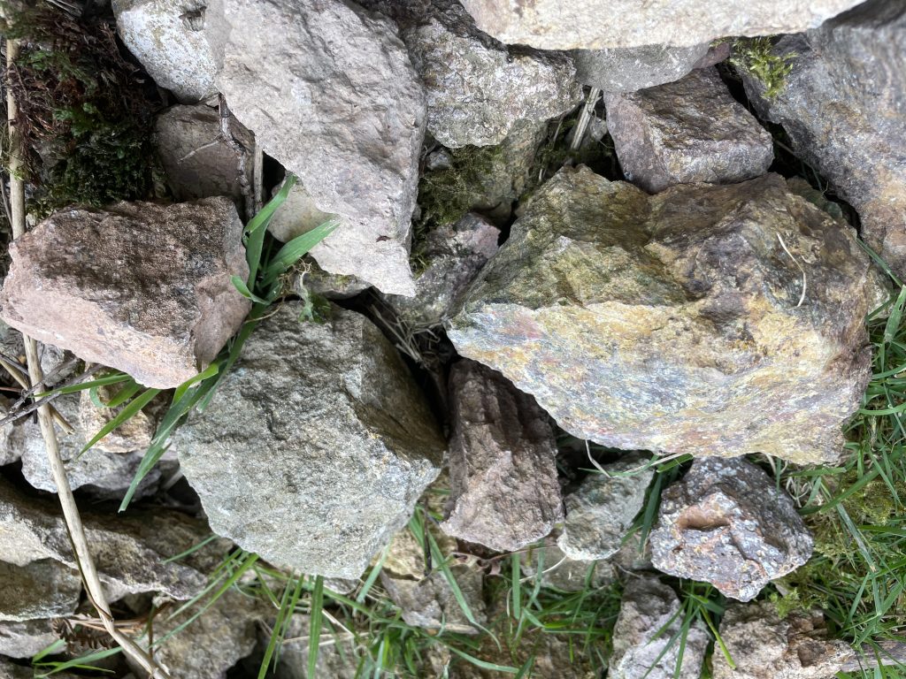 Altered Gossan Rock (right) Altered Gossan Rock (right)