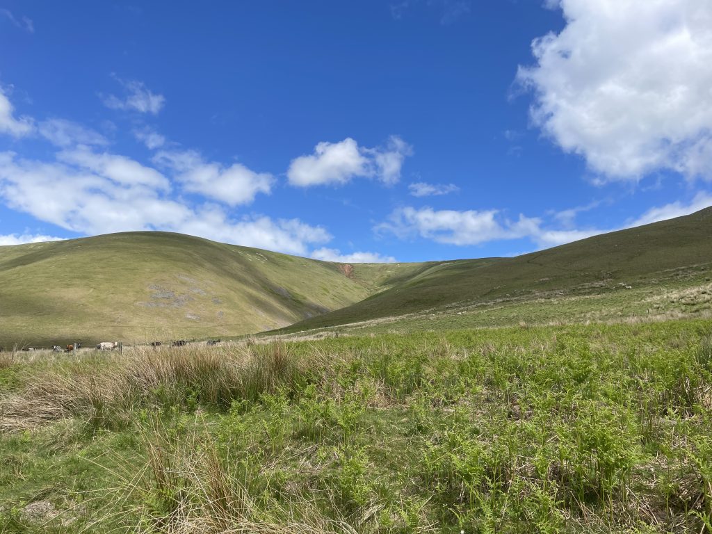 Yearning Cleugh from Kingsseat Burn